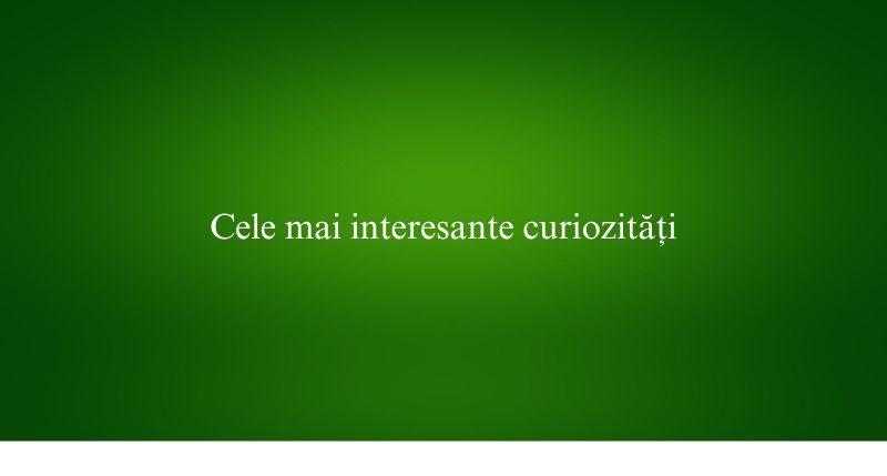 Cele mai interesante curiozități