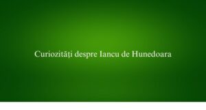 Curiozități despre Iancu de Hunedoara