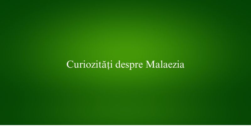 Curiozități despre Malaezia