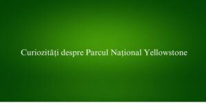 Curiozități despre Parcul Național Yellowstone