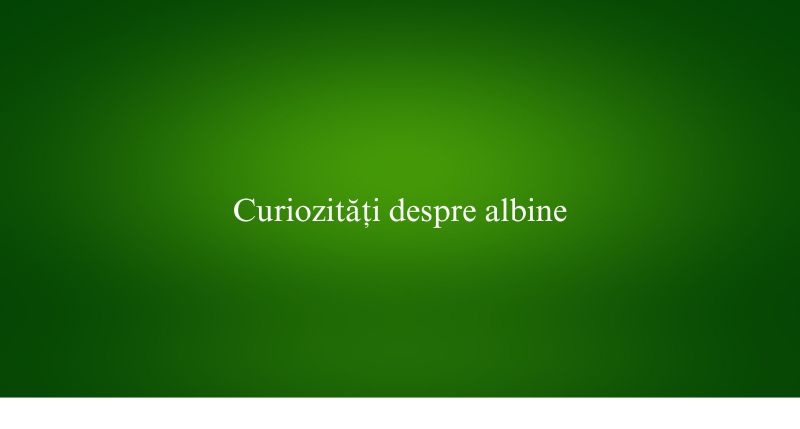 Curiozități despre albine