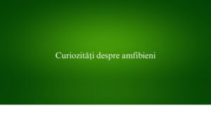 Curiozități despre amfibieni