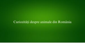 Curiozități despre animale din România