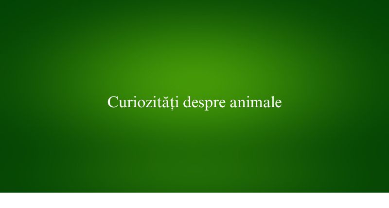 Curiozități despre animale