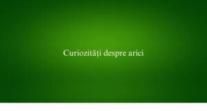 Curiozități despre arici