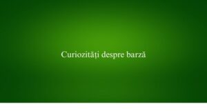 Curiozități despre barză