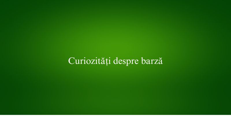 Curiozități despre barză