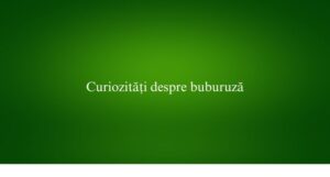 Curiozități despre buburuză