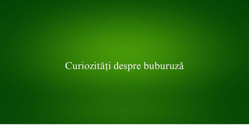 Curiozități despre buburuză