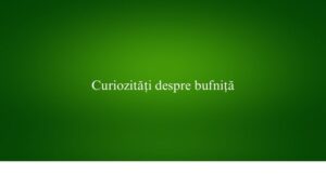 Curiozități despre bufniță