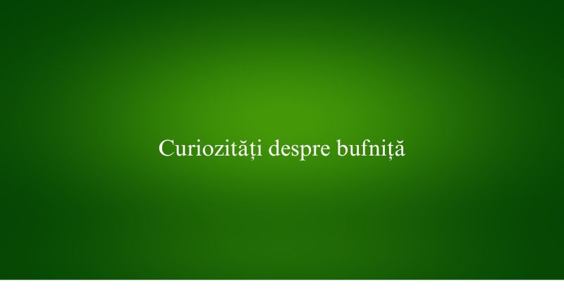 Curiozități despre bufniță