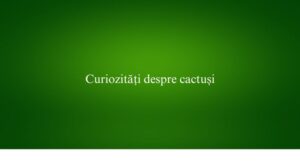 Curiozități despre cactuși