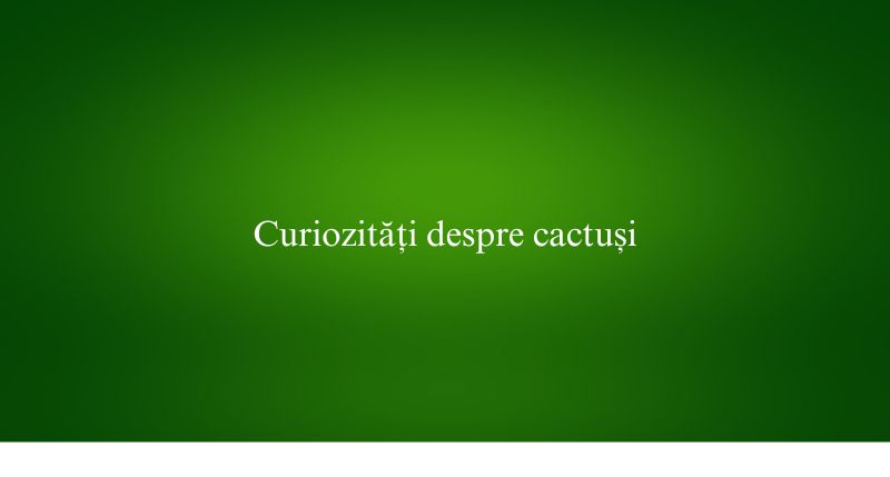 Curiozități despre cactuși