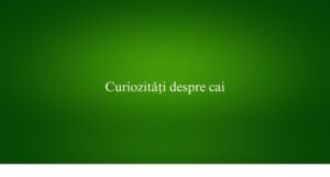 Curiozități despre cai