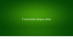 Curiozități despre câini