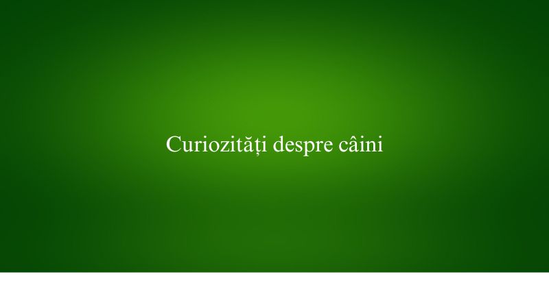 Curiozități despre câini
