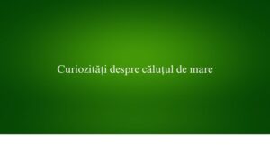 Curiozități despre căluțul de mare