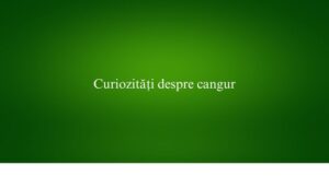 Curiozități despre cangur