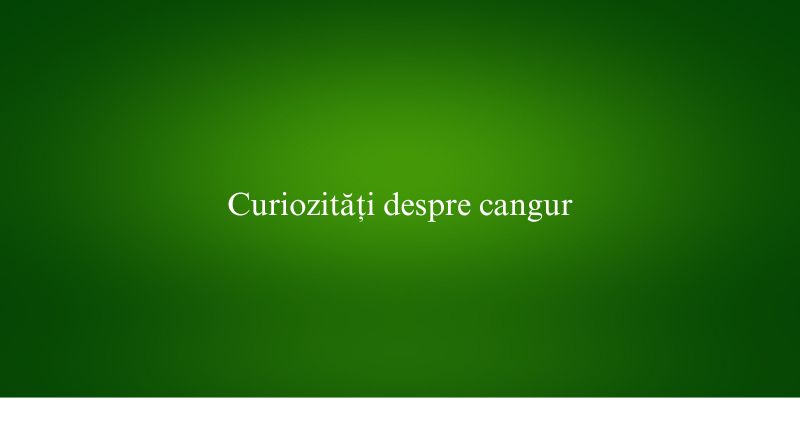 Curiozități despre cangur