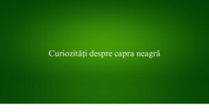 Curiozități despre capra neagră