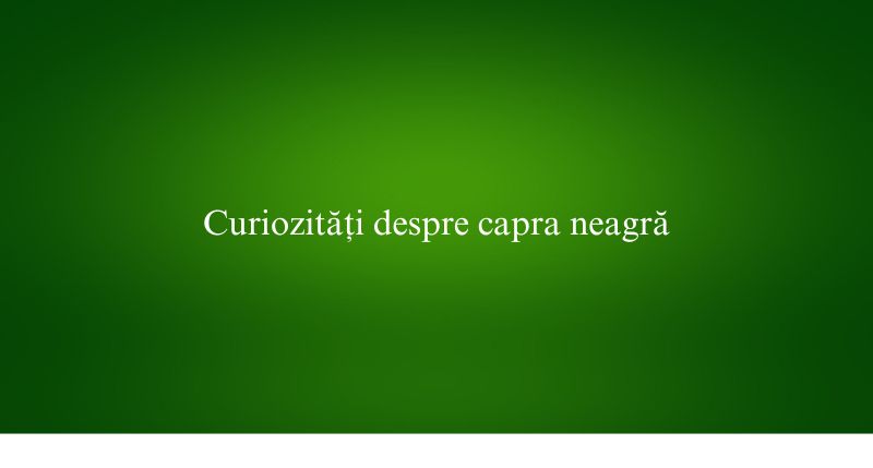 Curiozități despre capra neagră