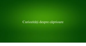 Curiozități despre căprioare