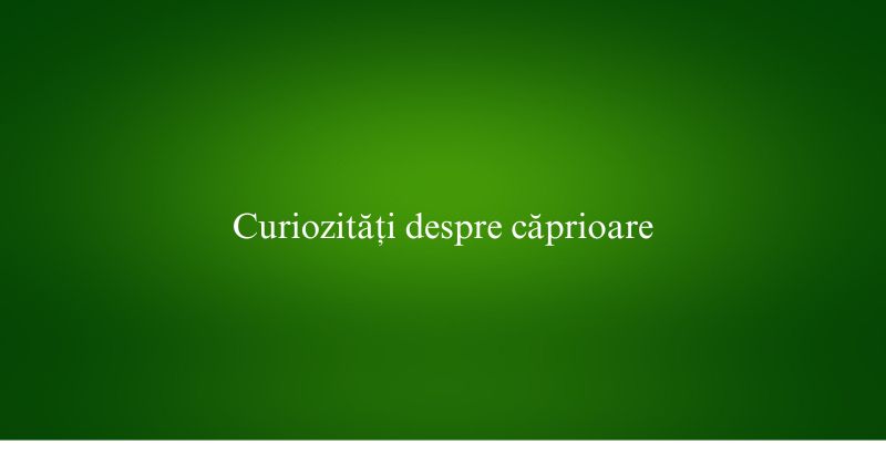 Curiozități despre căprioare