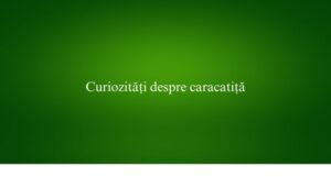 Curiozități despre caracatiță