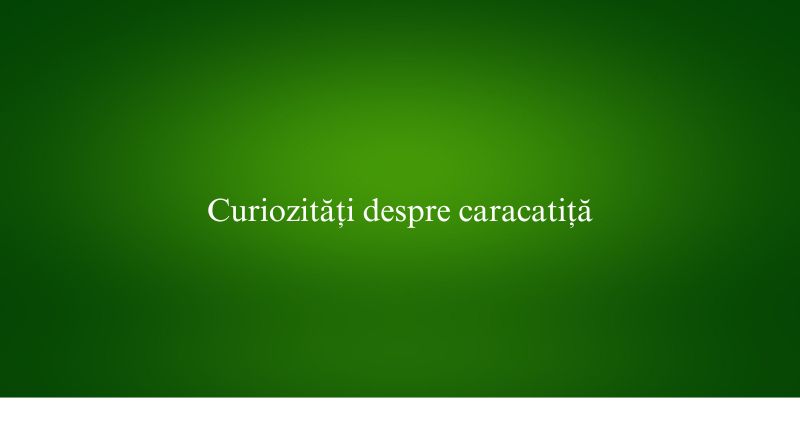 Curiozități despre caracatiță