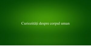 Curiozități despre corpul uman
