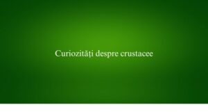 Curiozități despre crustacee