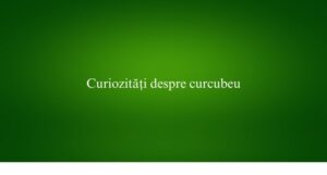 Curiozități despre curcubeu