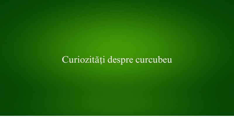 Curiozități despre curcubeu