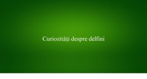 Curiozități despre delfini
