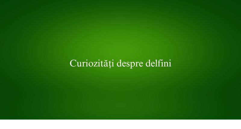 Curiozități despre delfini