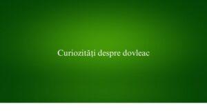 Curiozități despre dovleac