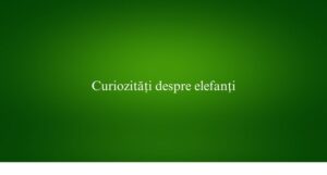 Curiozități despre elefanți