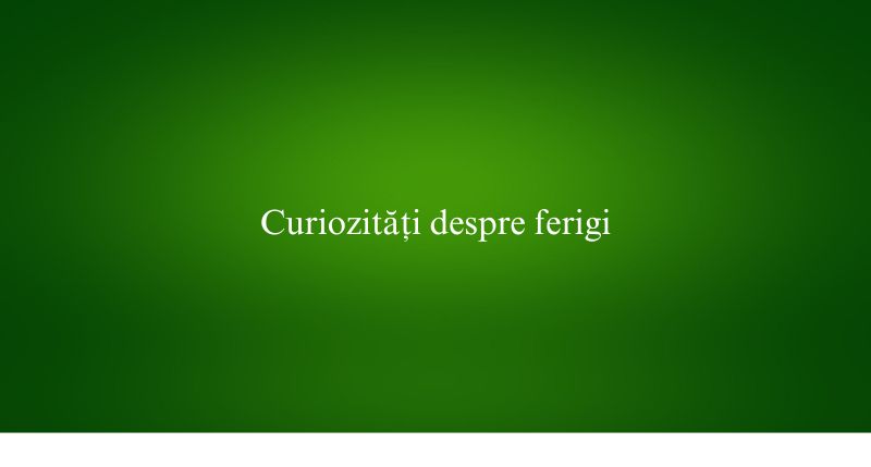 Curiozități despre ferigi