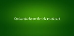 Curiozități despre flori de primăvară