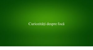 Curiozități despre focă