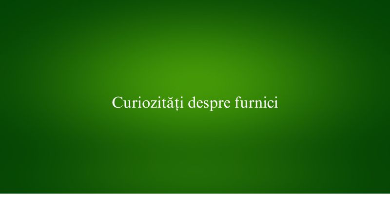 Curiozități despre furnici