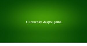 Curiozități despre găină