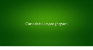 Curiozități despre ghepard