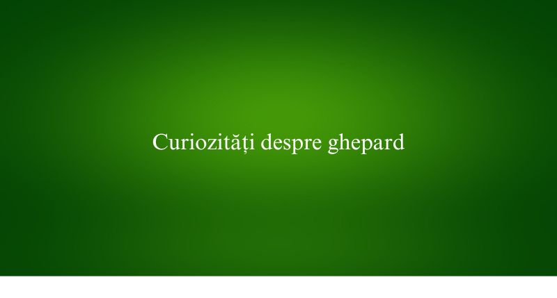 Curiozități despre ghepard