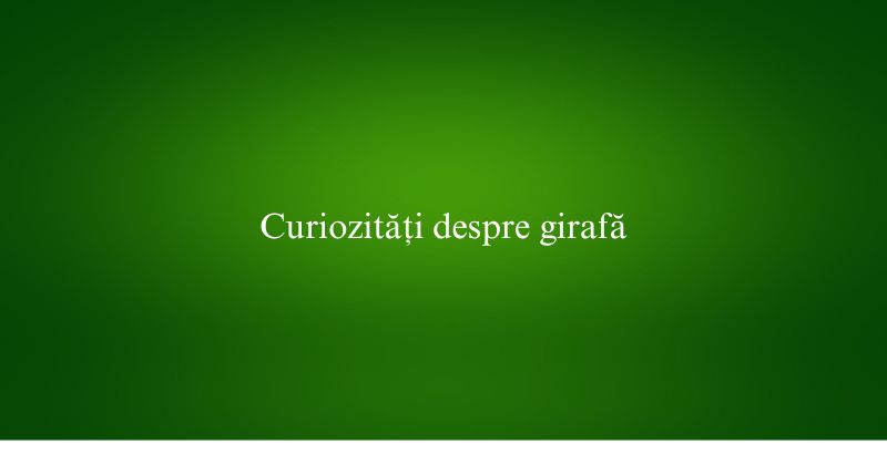 Curiozități despre girafă
