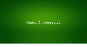 Curiozități despre grâu