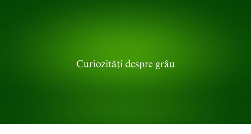Curiozități despre grâu