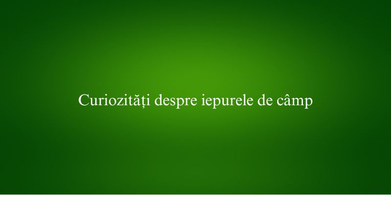 Curiozități despre iepurele de câmp