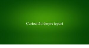Curiozități despre iepuri