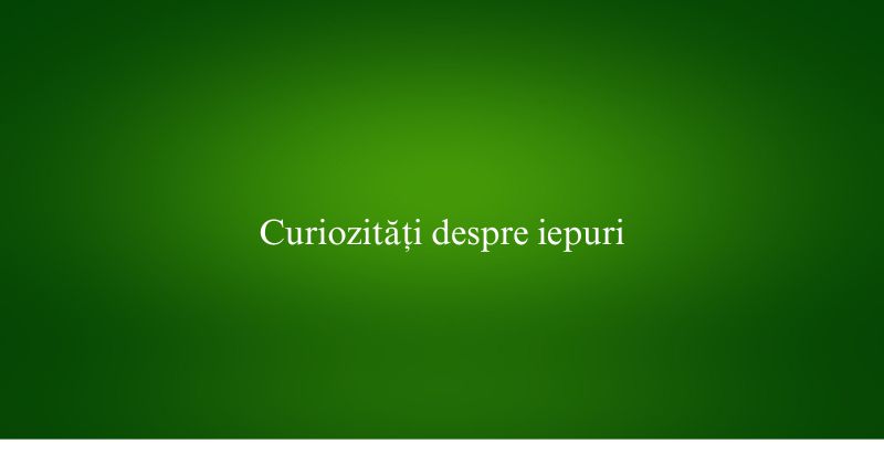 Curiozități despre iepuri